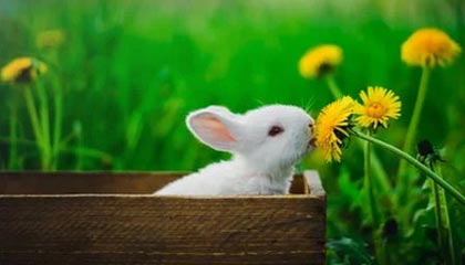 广西伴游，定制QQ：3494206190微信：act1322